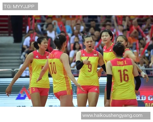 杭州排球队的节奏解析与排球热点的深度探讨