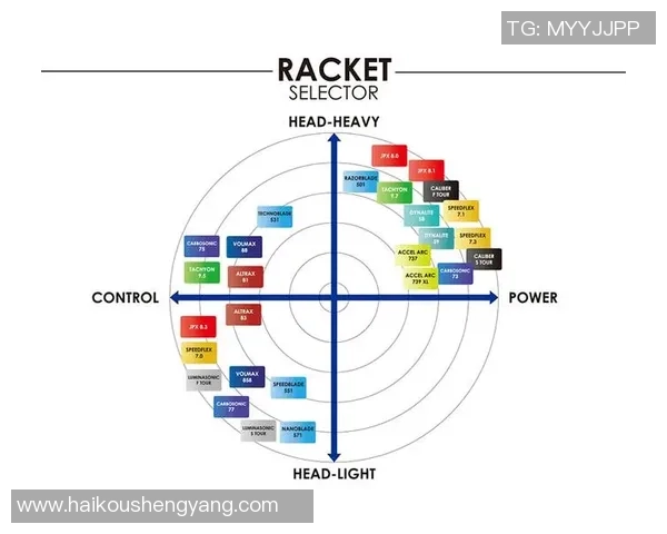杭州羽毛球队的战术调整与比赛节奏分析及未来发展方向探讨