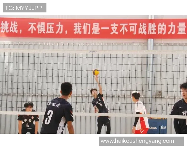 武汉排球队荣登全国排球力量排行榜第八名展现强劲实力与团队精神