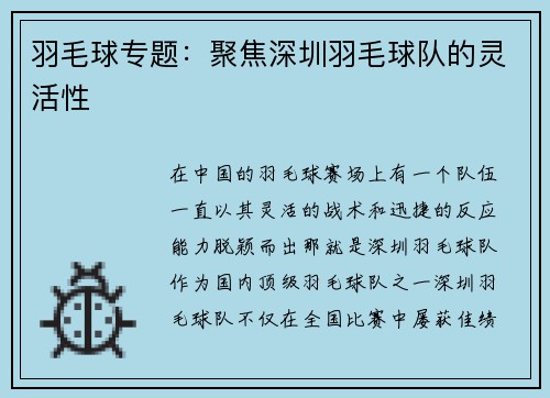 羽毛球专题：聚焦深圳羽毛球队的灵活性