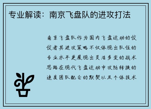 专业解读：南京飞盘队的进攻打法